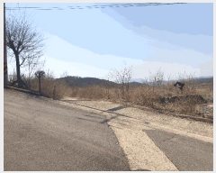  2025Ÿ10885  ̽   65-4      (Ӿ)