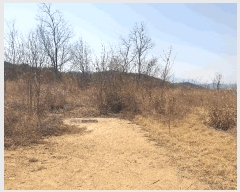  2025Ÿ10885  ̽   65-4      (Ӿ)