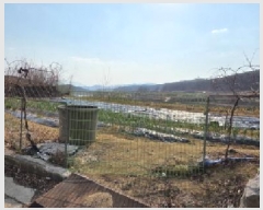  2025Ÿ10885  ̽   65-4      (Ӿ)