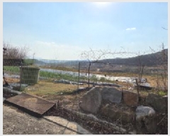  2025Ÿ10885  ̽   65-4      (Ӿ)