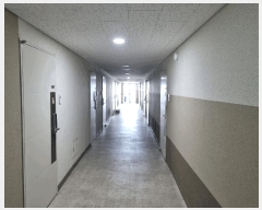  2025Ÿ��10982  ���ǽ��ڰ��