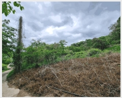  2025Ÿ��11004  �����