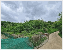  2025Ÿ��11004  �����