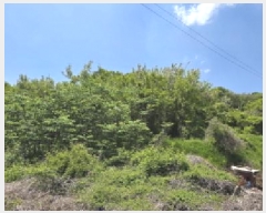  2025Ÿ��11004  �����