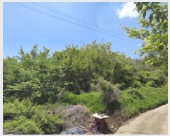  2025Ÿ��11004  �����