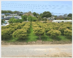  2025Ÿ��11010 ��� ���̽� ����� ���� 236-1      ���ð��