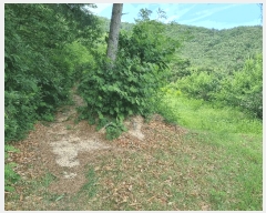  2025Ÿ��11024  �����