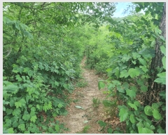  2025Ÿ��11024  �����