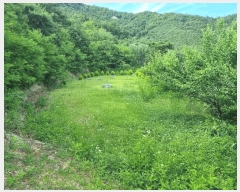  2025Ÿ��11024  �����