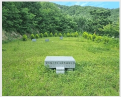  2025Ÿ��11024  �����