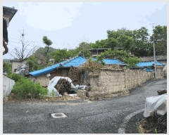  2025Ÿ��11029  ����