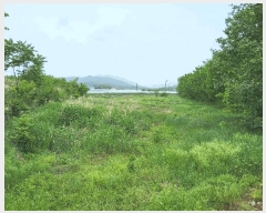  2025Ÿ��11029  ����