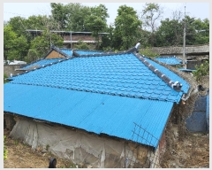  2025Ÿ��11029  ����