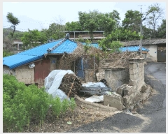  2025Ÿ��11029  ����