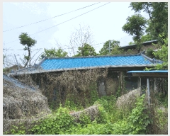  2025Ÿ��11029  ����