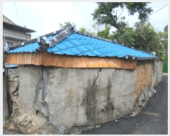  2025Ÿ��11029  ����