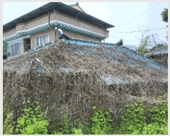  2025Ÿ��11029  ����