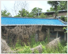  2025Ÿ��11029  ����