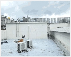  2025Ÿ��11114  ���ڽü����