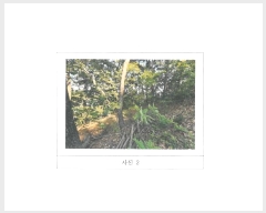  2025Ÿ��11164 ��� ���̽� ���굿 ��26-3       ����(�Ӿ�)���