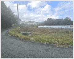  2025Ÿ��11171 ��� ��õ�� ���׸� ������ 1312-1      ����(��)���