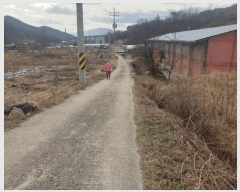  2025Ÿ��227 ��� ��õ�� ����� ��õ�� 450      ����(����)���