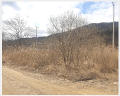  2025Ÿ��227 ��� ��õ�� ����� ��õ�� 450      ����(����)���