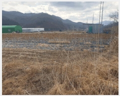  2025Ÿ��227 ��� ��õ�� ����� ��õ�� 450      ����(����)���