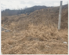  2025Ÿ��227 ��� ��õ�� ����� ��õ�� 450      ����(����)���