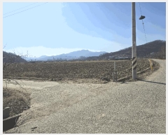  2025Ÿ��260  ����