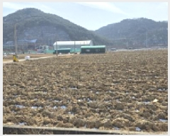  2025Ÿ��260  ����