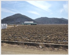  2025Ÿ��260  ����