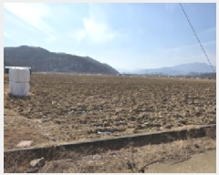  2025Ÿ��260  ����