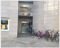  2025Ÿ��266  ����Ʈ���