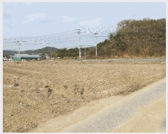  2025Ÿ��287 ��� ���̽� ����� ��� 1178      ����(��)���