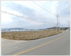  2025Ÿ��287 ��� ���̽� ����� ��� 1178      ����(��)���