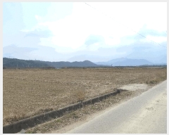  2025Ÿ��287 ��� ���̽� ����� ��� 1178      ����(��)���