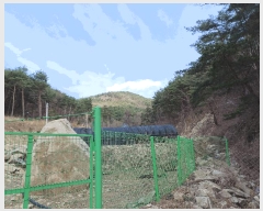  2025Ÿ��291  ����