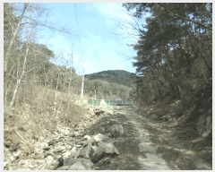  2025Ÿ��291  ����