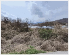  2025Ÿ��291  ����