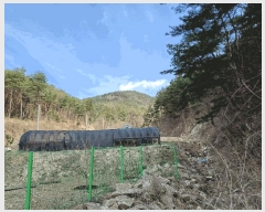  2025Ÿ��291  ����