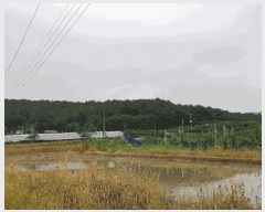  2025Ÿ��347 ��� ��õ�� ������ ���� 154      ����(��1)���