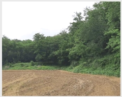  2025Ÿ��347 ��� ��õ�� ������ ���� 154      ����(��1)���