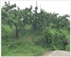  2025Ÿ��347 ��� ��õ�� ������ ���� 154      ����(��1)���