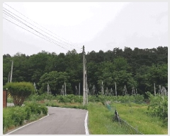  2025Ÿ��347 ��� ��õ�� ������ ���� 154      ����(��1)���