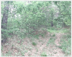  2025Ÿ��347 ��� ��õ�� ������ ���� 154      ����(��1)���