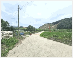  2025Ÿ��352  ����