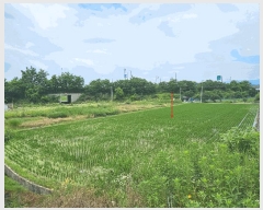  2025Ÿ��352  ����