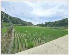  2025Ÿ��352  ����