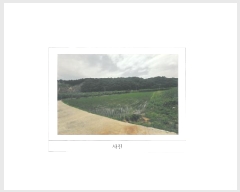  2025Ÿ��352  ����